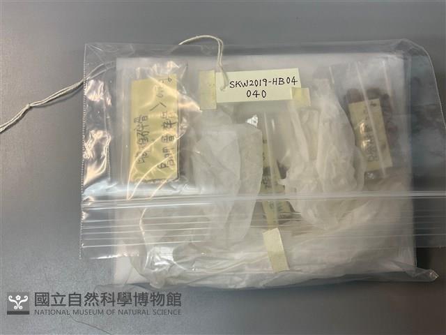 人骨藏品圖，第1張