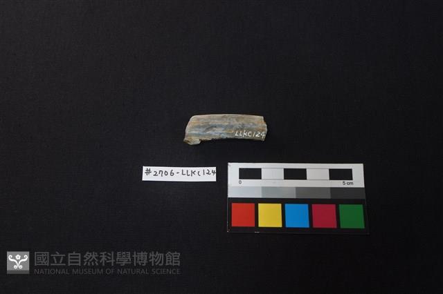 陶片藏品圖，第1張