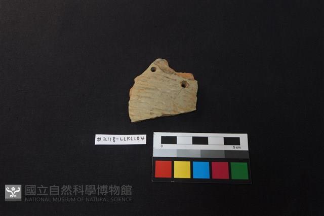 陶片藏品圖，第1張