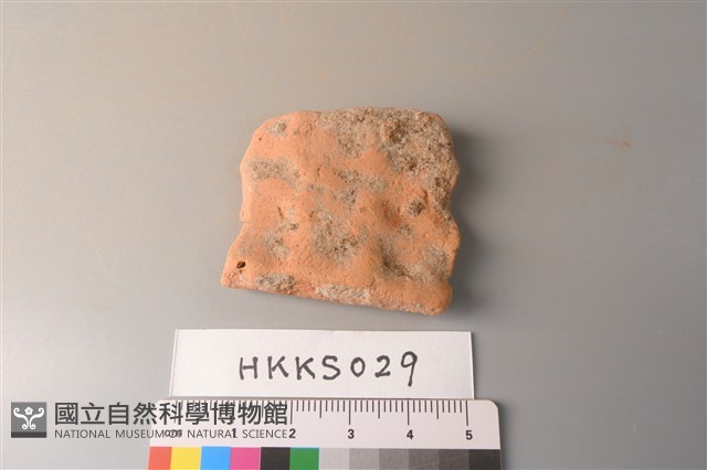 陶片藏品圖，第1張