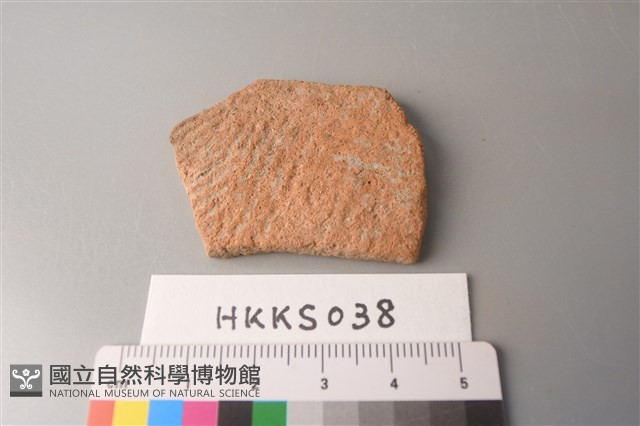 陶片藏品圖，第1張