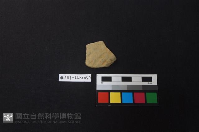 陶片藏品圖，第1張