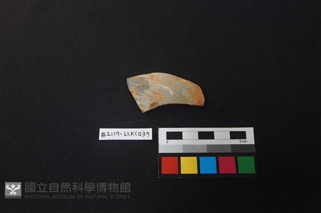 陶片藏品圖，第1張