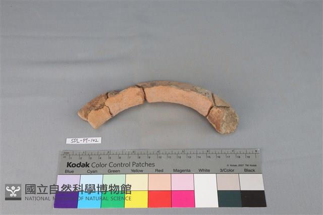 陶罐藏品圖，第5張