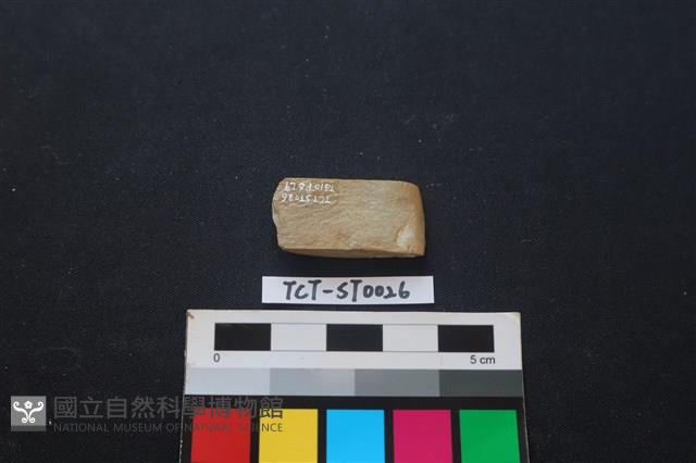 錛鑿形器藏品圖，第3張