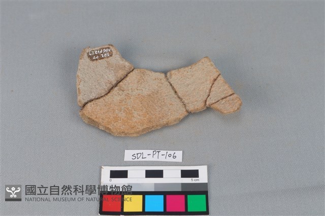 陶片藏品圖，第3張