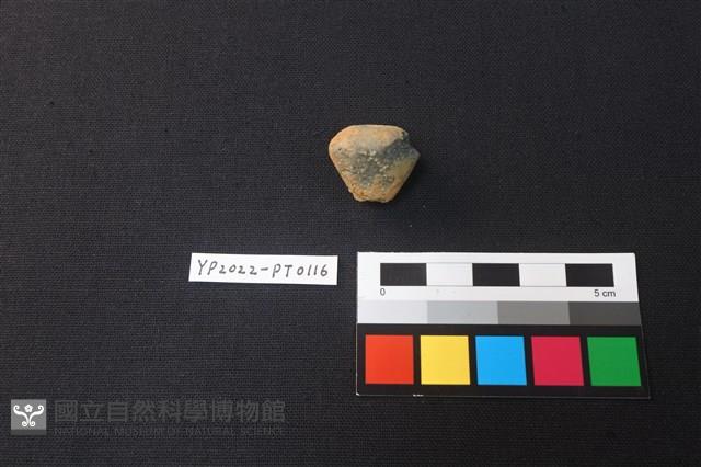 陶紡輪藏品圖，第3張
