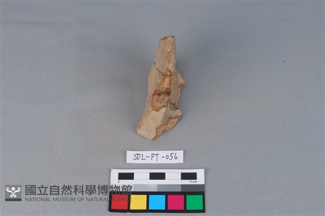陶罐藏品圖，第3張