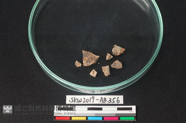 獸骨藏品圖，第3張