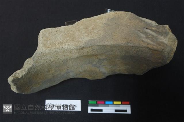 陶片藏品圖，第3張