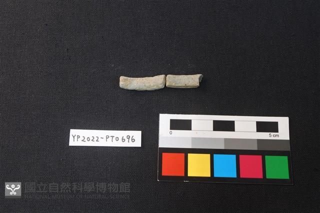 陶環藏品圖，第3張