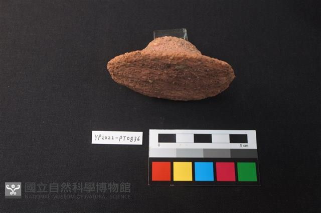陶蓋藏品圖，第3張