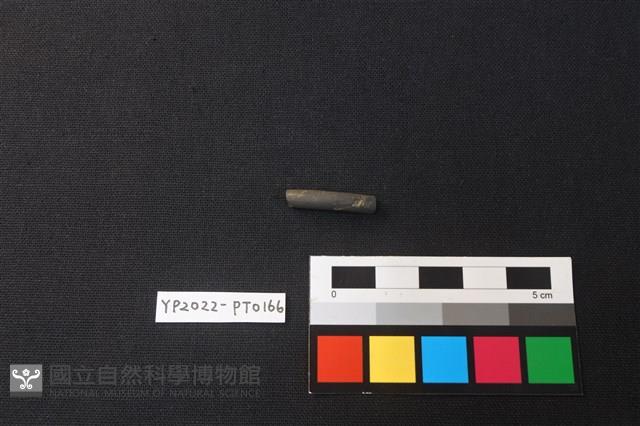 陶環藏品圖，第3張