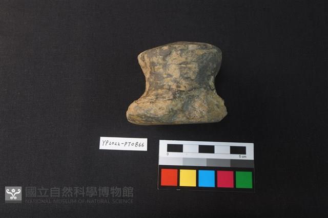 陶鈕藏品圖，第3張