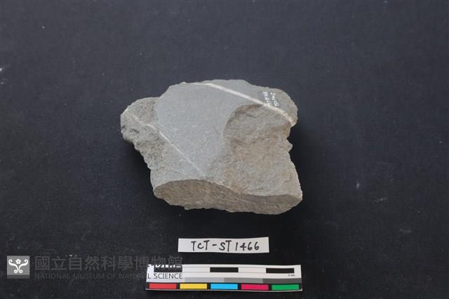 磨製斧鋤形器藏品圖，第3張