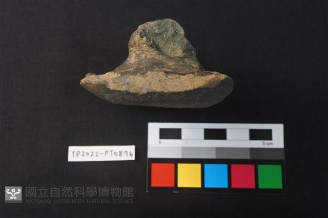 陶蓋鈕藏品圖，第3張