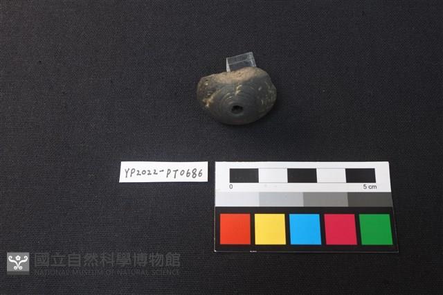 陶紡輪藏品圖，第3張