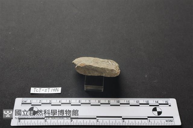 斧鋤形器藏品圖，第3張