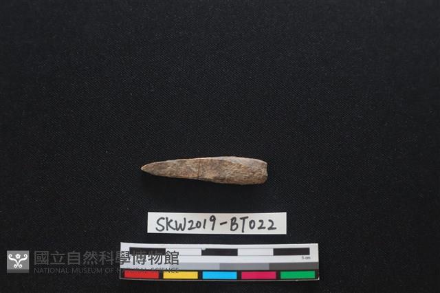 魚卡子藏品圖，第3張