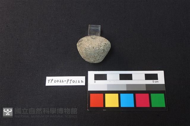 陶紡輪藏品圖，第3張