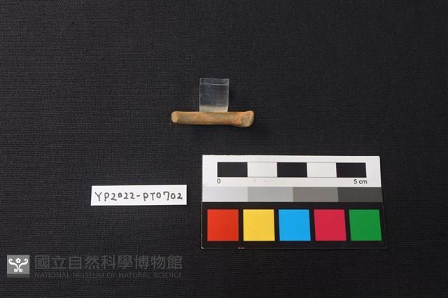 陶環藏品圖，第3張