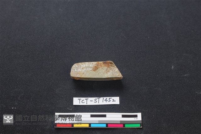 錛鑿形器藏品圖，第3張