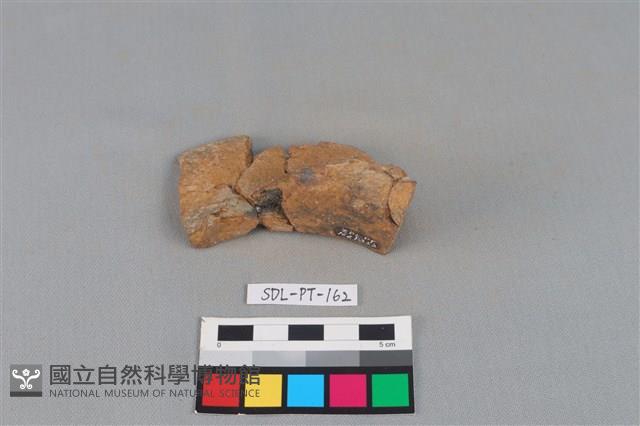 陶罐藏品圖，第3張