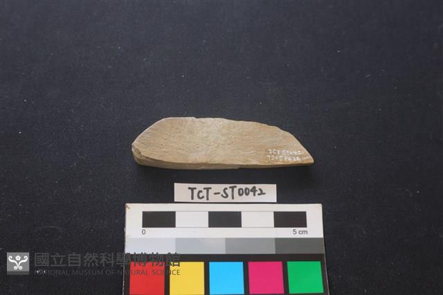 錛鑿形器藏品圖，第3張