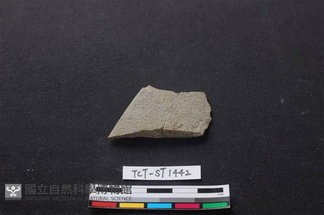 石刀藏品圖，第3張