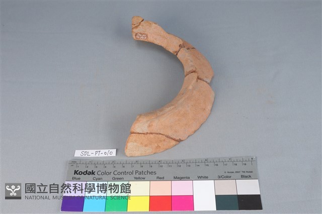 陶罐藏品圖，第3張