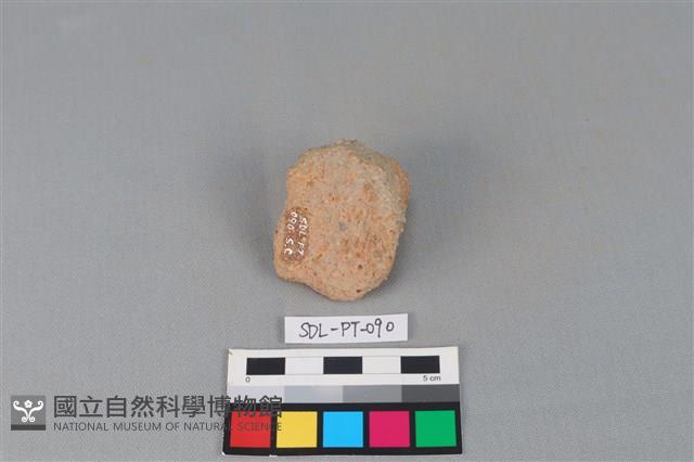 陶把藏品圖，第3張