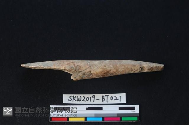 魚卡子藏品圖，第3張