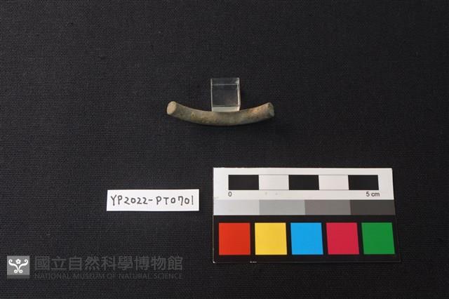 陶環藏品圖，第3張