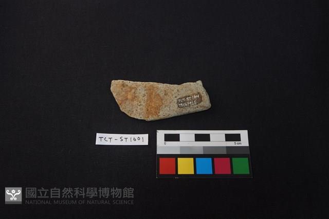 石鏟藏品圖，第3張