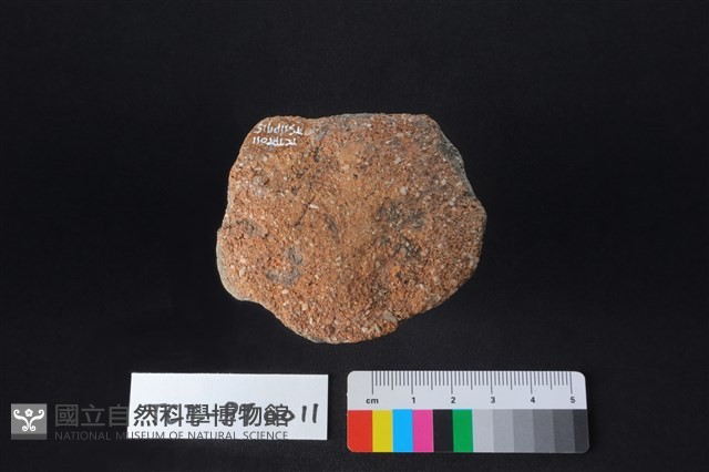 陶蓋鈕藏品圖，第3張