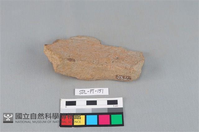 陶罐藏品圖，第3張