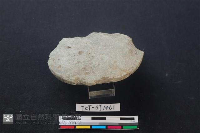 石鏟藏品圖，第3張