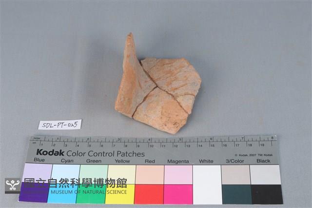 陶罐藏品圖，第3張