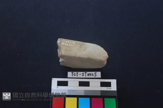 錛鑿形器藏品圖，第3張