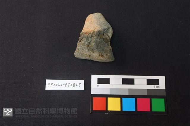 陶鈕藏品圖，第3張
