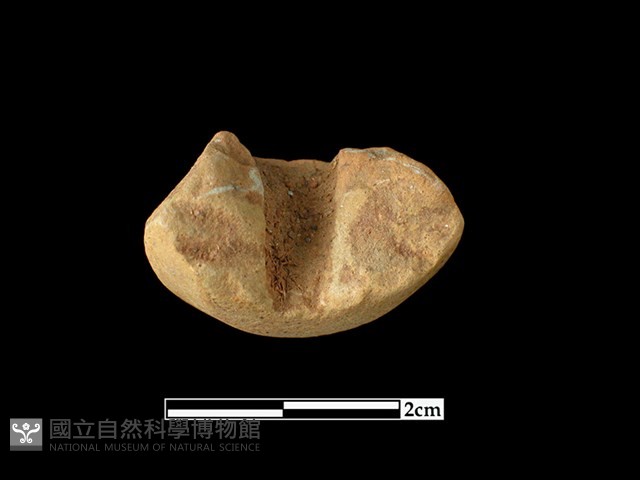 陶紡輪藏品圖，第3張