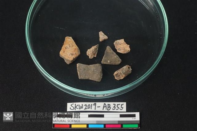 獸骨藏品圖，第3張