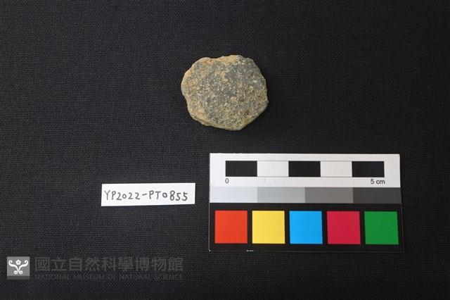 小圓片藏品圖，第3張
