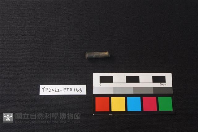 陶環藏品圖，第3張