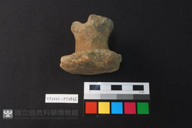 陶鈕藏品圖，第3張