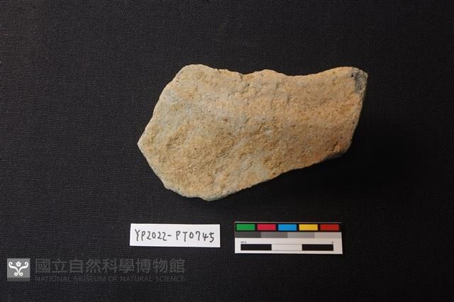 陶片藏品圖，第3張