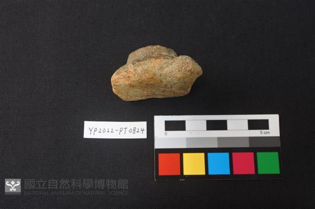 陶鈕藏品圖，第3張