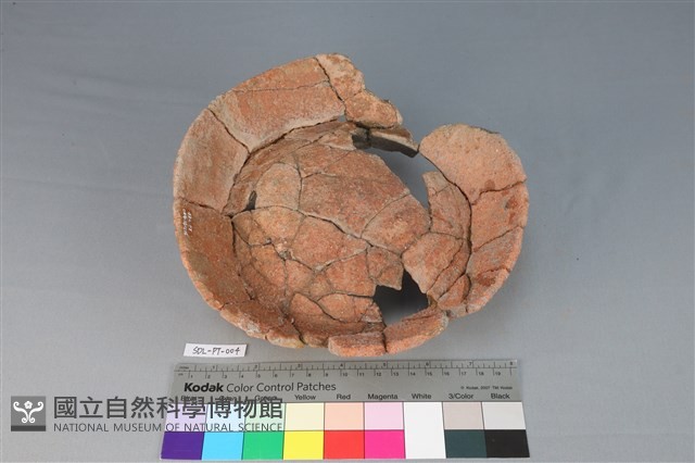 陶罐藏品圖，第3張