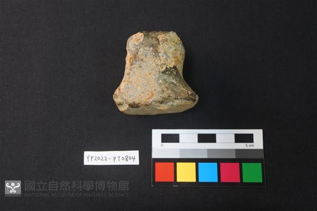 蓋鈕藏品圖，第3張