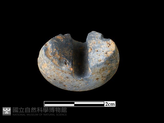 陶紡輪藏品圖，第3張